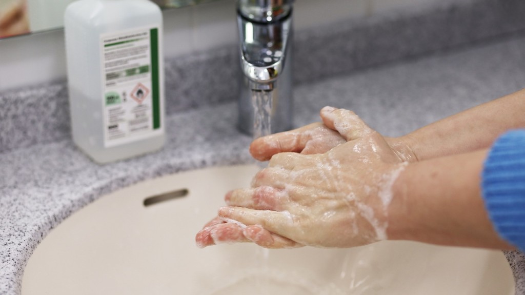 wash your hands