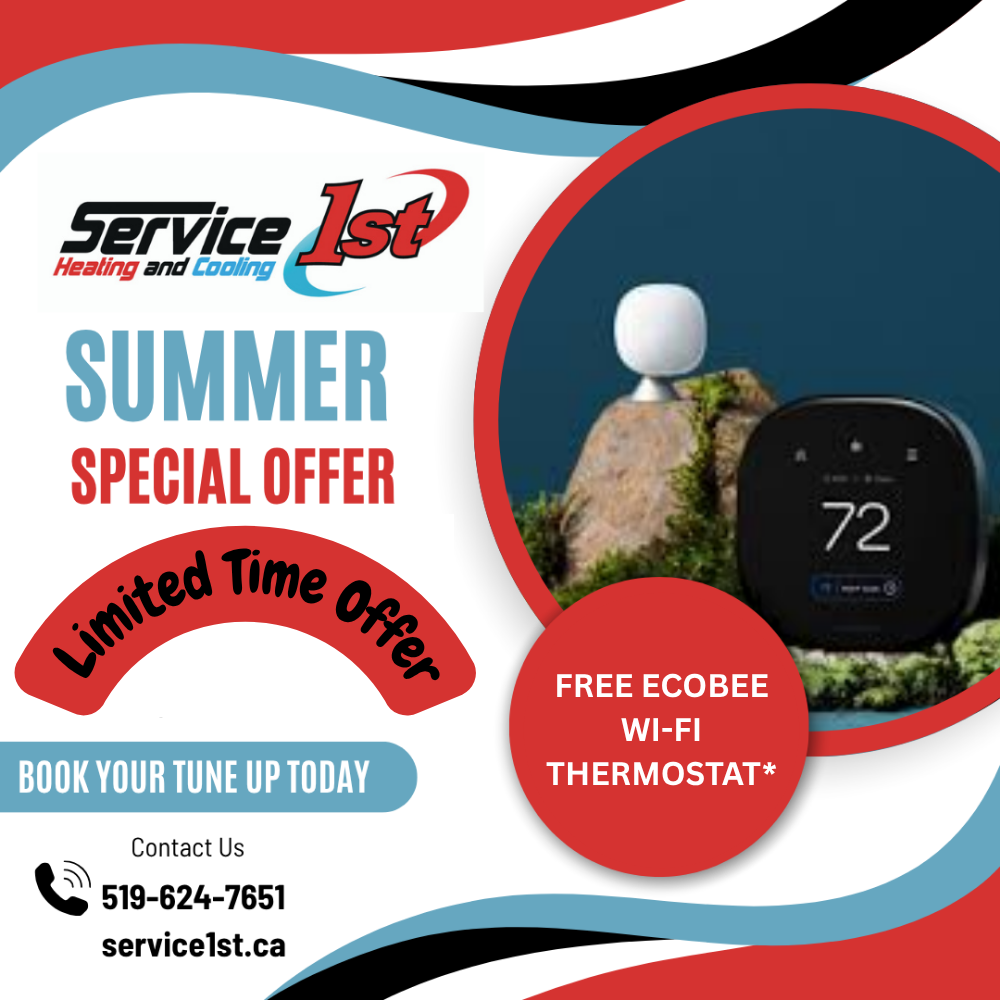 Hurry! Limited Time Offer