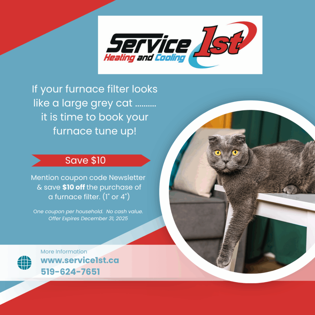 Filter Discount Cat $10 December 25